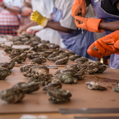 North Carolina Oyster Festival Event